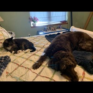 Meet your Posher, Rosemarie